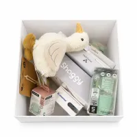 BabyBox Robertino – cadou pentru bebeluș