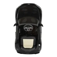Mașină electrică pentru copii Audi R8 Spyder negru (vopsire black)