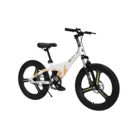 Bicicletă
