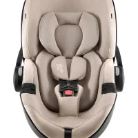 Scaun auto pentru copii Britax Romer Baby-Safe Pro Teak