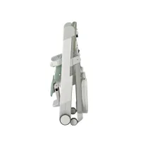Scaun De Masă Peg Perego 2/1 Siesta Follow Me Mint