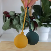 Силиконовая коробочка для соски Petite&Mars Desert Sand