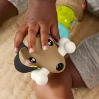 Fisher-Price Jucărie educațională „Taxă”