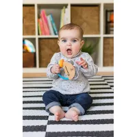 Игрушка Baby Einstein Маленький деревянный бубен foto