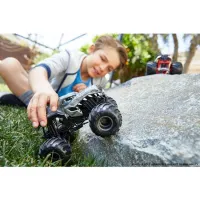 Monster Trucks 1:24 (as.)
