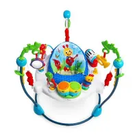 Jumper Baby Einstein Neighborhood Symphony Activity Jumper foto