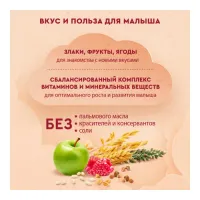 Винни terci cu lapte 5 cereale cu mere si zmeura (6m +) 200 gr.