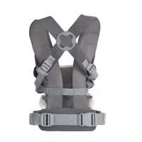 Sistem ergonomic 3 in 1 Joie Savvy Lite Cobblestone foto