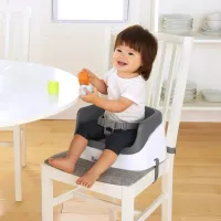 Booster Ingenuity Toddler Slate foto