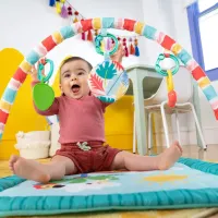 Развивающий коврик Bright Starts Tiki Toy Bar foto