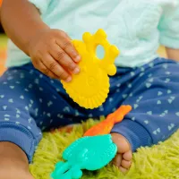 Набор из 3 текстурированных игрушек для прорезывания зубов Bright Starts Gummy Buddies foto