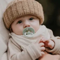 Нагрудник Бандана BIBS Sage foto