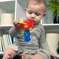 Игрушка для прорезывания зубов Baby Einstein Ocean Explorers Cool Critters (3+ мес.) foto
