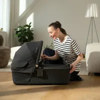 Люлька Nuna LYTL Riveted для колясок TRIV Next, TRVL и IXXA foto