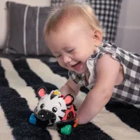 Машинка погремушка Baby Einstein Curious Car Zen Oball foto