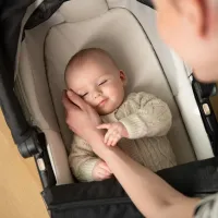 Люлька Nuna LYTL Riveted для колясок TRIV Next, TRVL и IXXA foto
