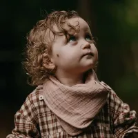 Нагрудник Бандана BIBS Sage foto