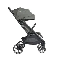 Прогулочная коляска Joie Signature Parcel LX Evergreen foto