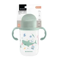 Cana cu manere 360° KikkaBoo Deep Sea Mint, 300 ml foto