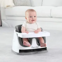Стульчик для кормления 2 в 1 Bright Starts Ingenuity Slate foto