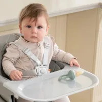 Силиконовое устройство для кормления (ниблер) KikkaBoo Platinum Sage foto