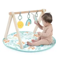 Развивающий коврик Ingenuity Cozy Spot foto