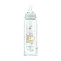 Biberon din sticla KikkaBoo Savanna Mint, 240 ml foto