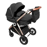Коляска 3 в 1 BabyGo AIR Halime Black, рама Gold foto