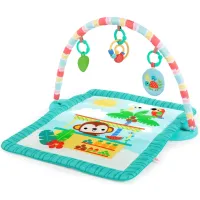 Развивающий коврик Bright Starts Tiki Toy Bar foto