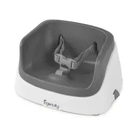 Booster Ingenuity Toddler Slate foto