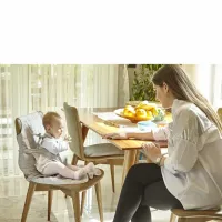 Hamuri pentru scaun de masa BabyJem foto