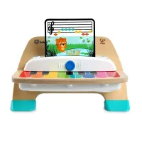 Игрушка деревянная музыкальная Hape & Baby Einstein Magic Touch Piano™ foto