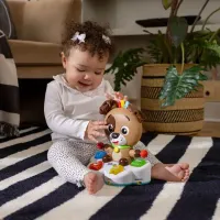 Музыкальная игрушка Baby Einstein Drum & Learn Dean foto