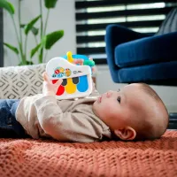 Jucarie muzicala Baby Einstein Petit Piano foto