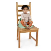 Стульчик-бустер Ity от Ingenuity My Spot Easy-Clean Green foto