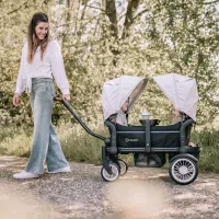 Коляска BabyGo Cozy Rider foto