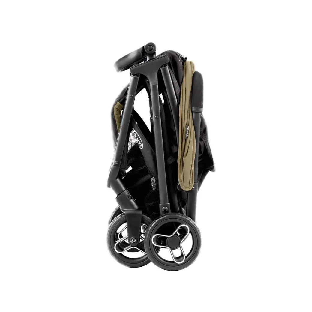 Carucior Graco Myavo Clover