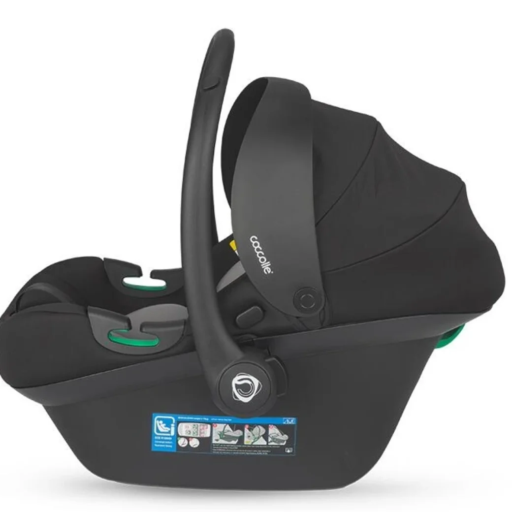 Scoica Auto Isize Coccolle Knox