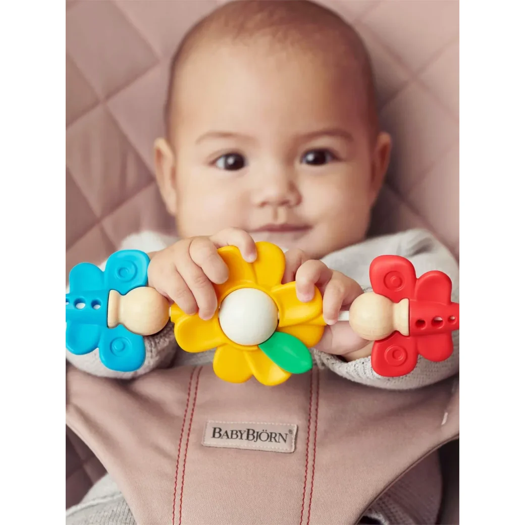 Игрушка для шезлонгов BabyBjorn Flying Friends foto