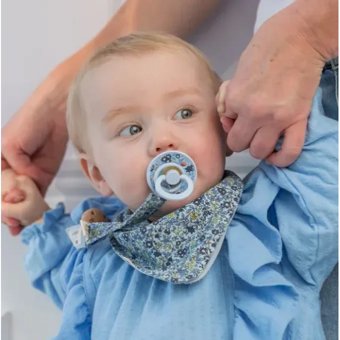 Набор из 2-х круглых латексных пустышек BIBS LIBERTY Colour Eloise - Dusty Blue Mix (0-6 мес.) foto