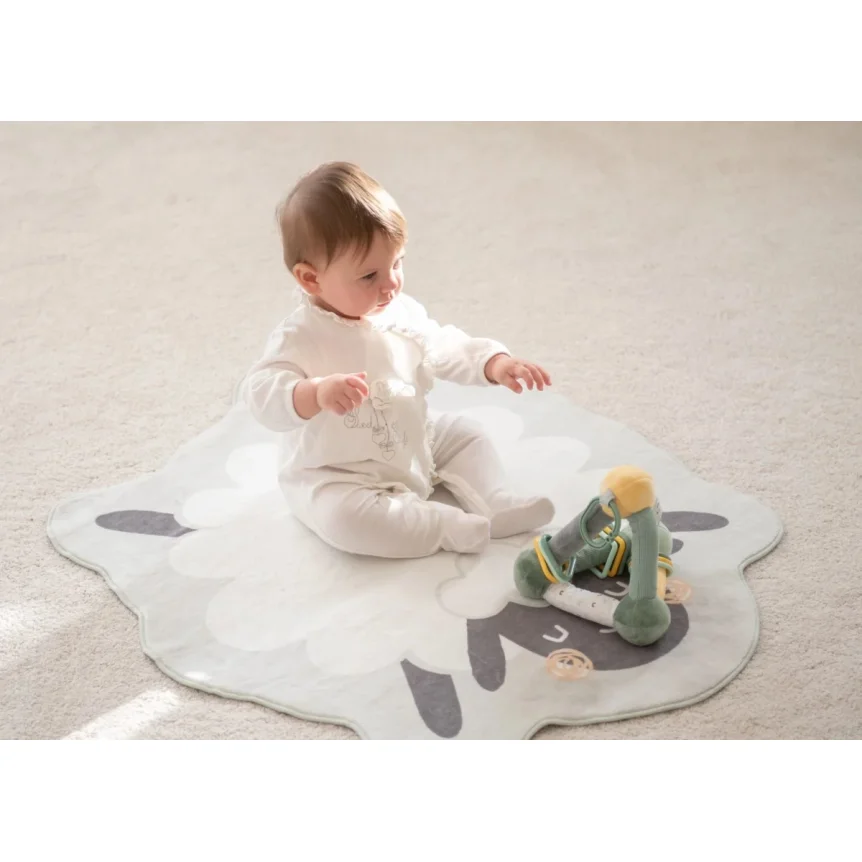 Jucarie educativa din plus KikkaBoo Seally me