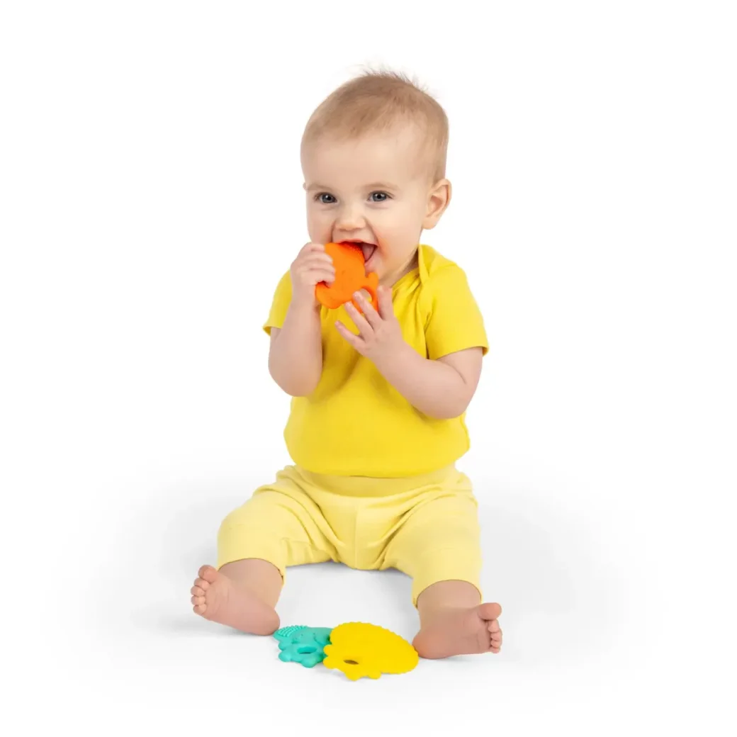 Набор из 3 текстурированных игрушек для прорезывания зубов Bright Starts Gummy Buddies foto