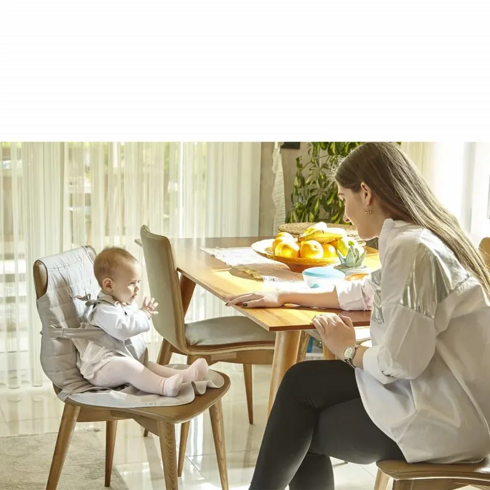 Hamuri pentru scaun de masa BabyJem foto