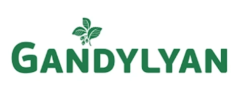 GANDYLYAN
